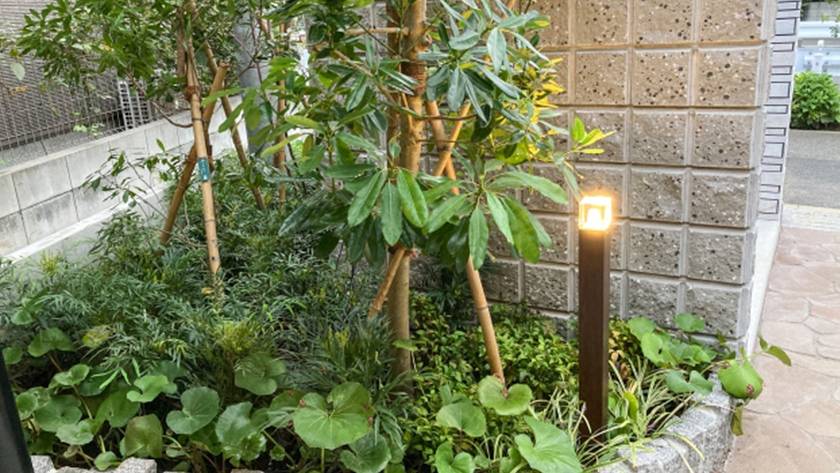 植栽