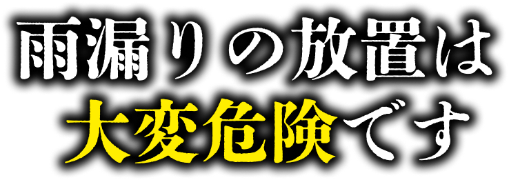 雨漏りは大変危険です