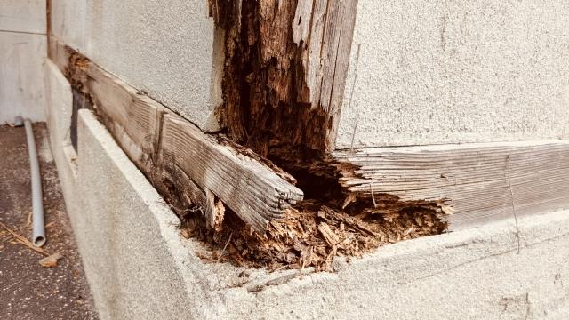木が腐食してシロアリ被害を受けた土台と柱
