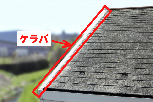 ケラバ