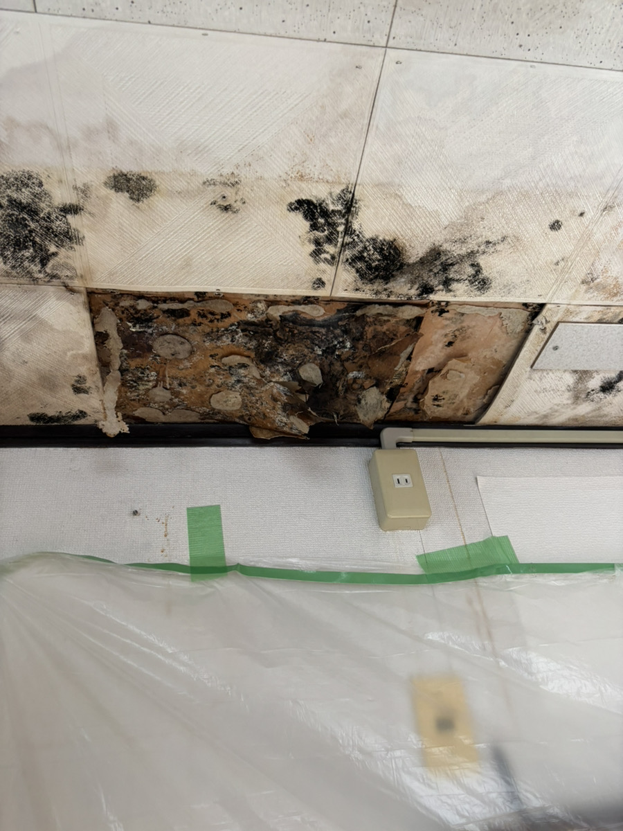 東大阪市小阪 K様邸 雨漏り散水調査の施工事例